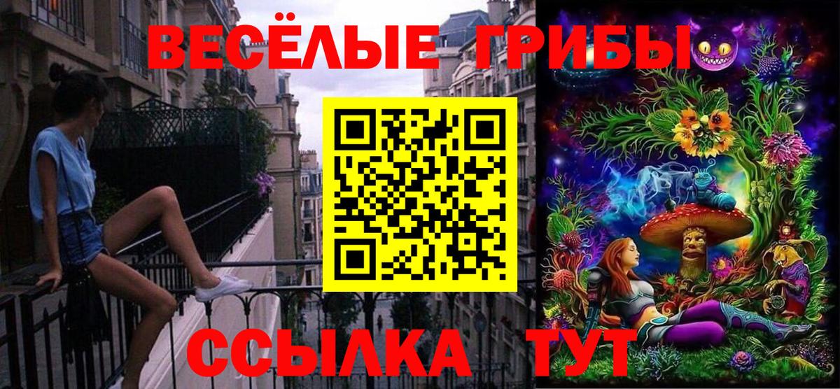 Псилоцибиновые грибы Cubensis  Галлюциногенные грибы мицелий  Вход с VPN  Истра 